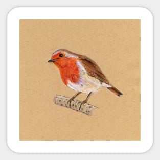 Christmas Robin Sticker